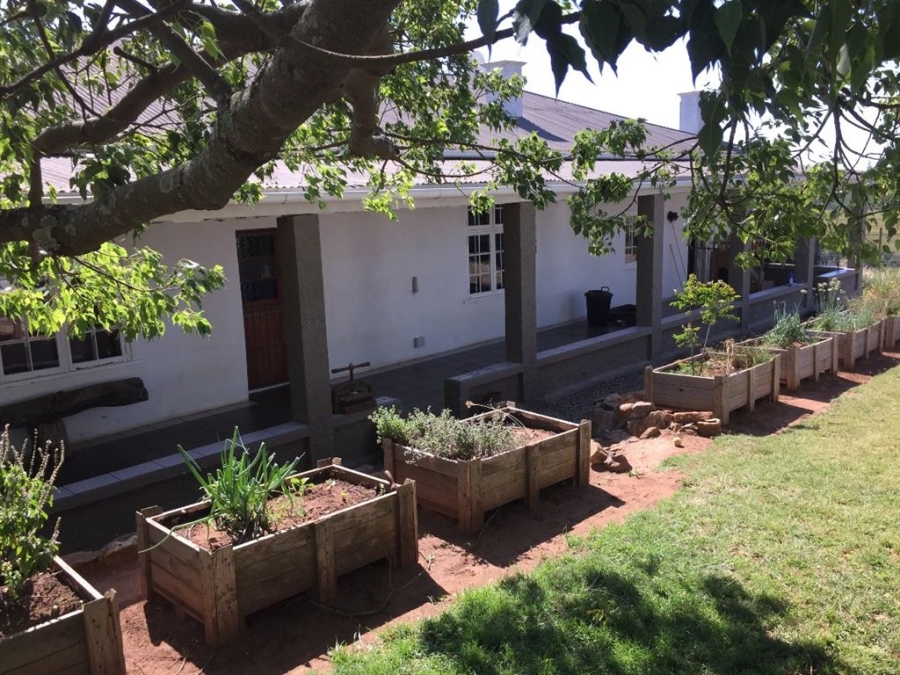 Commercial Property for Sale in Bathurst Eastern Cape
